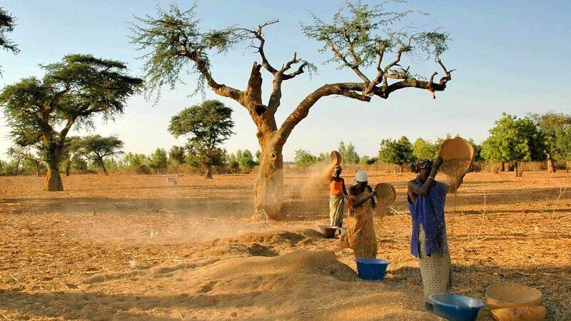 Circuit Coralia Casamance Authentique & Extension Royal Horizon Baobab 4* pas cher photo 8