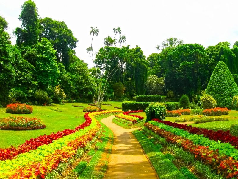 Circuit Coralia Les incontournables du Sri Lanka & Extension Pullman Bentota Resort & Spa 4* (ex NH pas cher photo 2