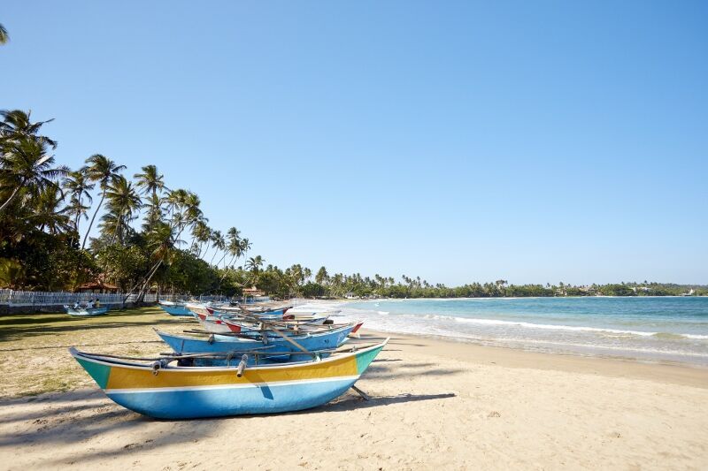 Circuit Coralia Les Incontournables du Sri Lanka et Extension Dickwella Resort & Spa 4* pas cher photo 17