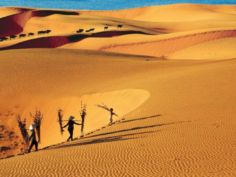 Combiné Saigon & Mui Ne en 9 nuits - De Ho Chi Minh City A Ho Chi Minh City pas cher photo 8