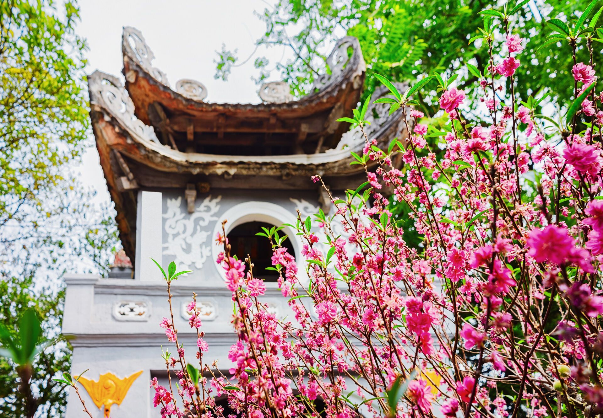 Circuit En Liberté Merveilles Du Vietnam Du Nord Au Sud pas cher photo 1
