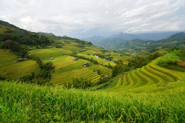 Circuit Les secrets du Nord Vietnam : Circuit authentique et Exclusif 4* pas cher photo 1