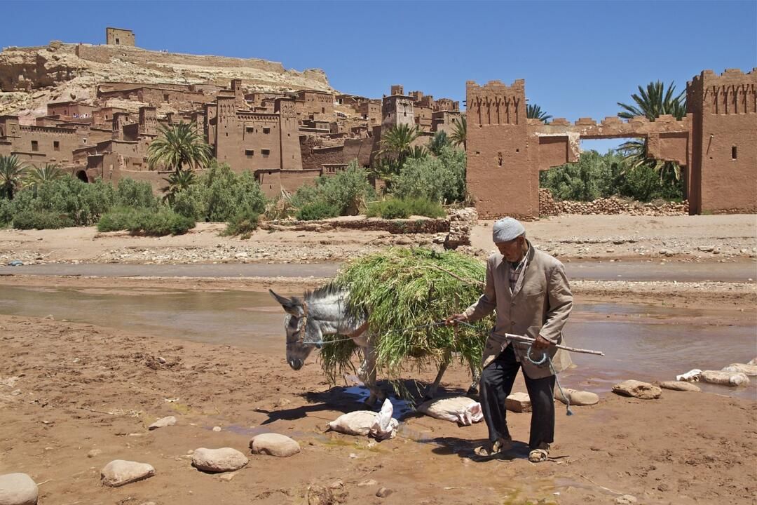 Circuit Privatif Au coeur du Sud Marocain en 4x4 3*-4* pas cher photo 18