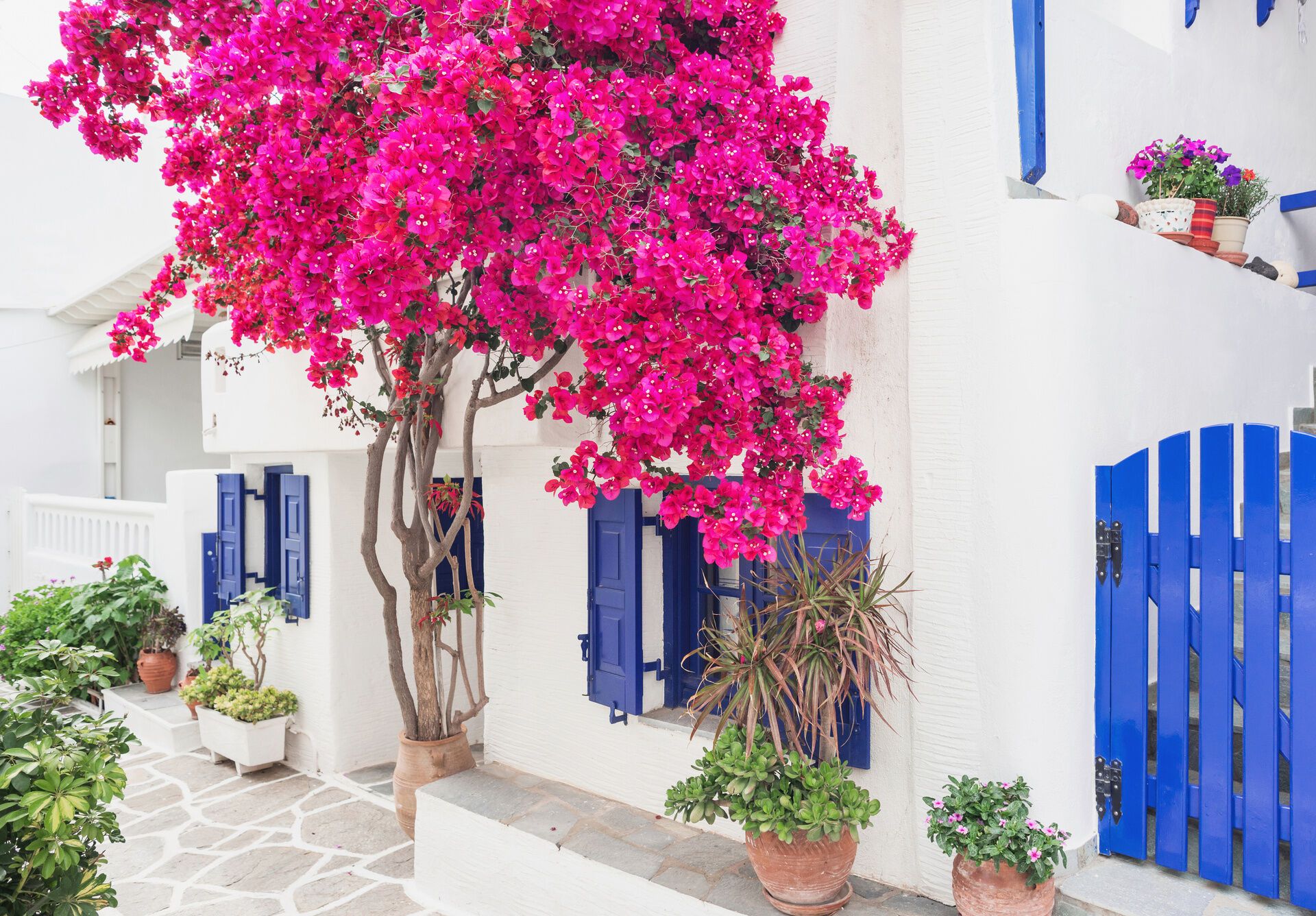 Circuit Athènes - Naxos - Paros - Athènes 3* pas cher photo 14