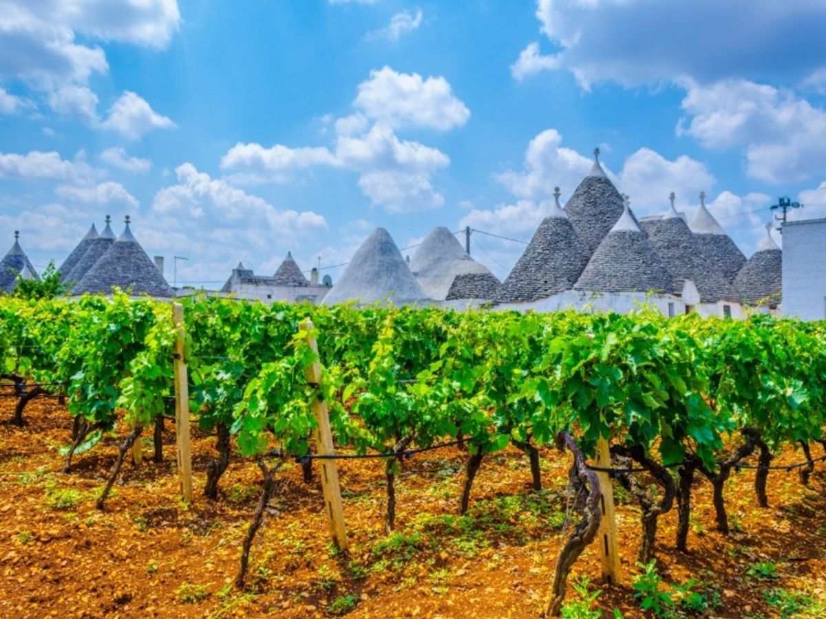 Sur la Route: Au coeur des Pouilles en 4* - Arrivée Bari - 8J/7N avec location voiture flex pas cher photo 5