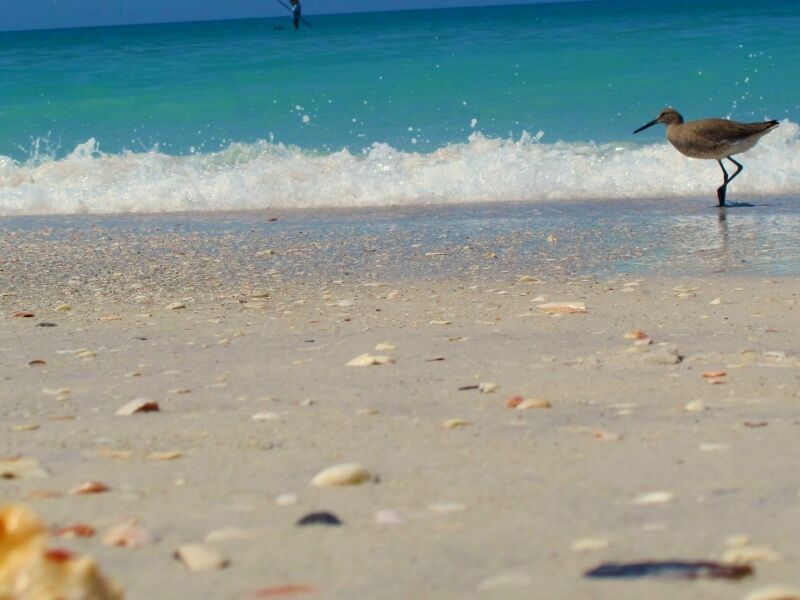 Autotour Classic West L.A. Budget - De Los Angeles A Los Angeles pas cher