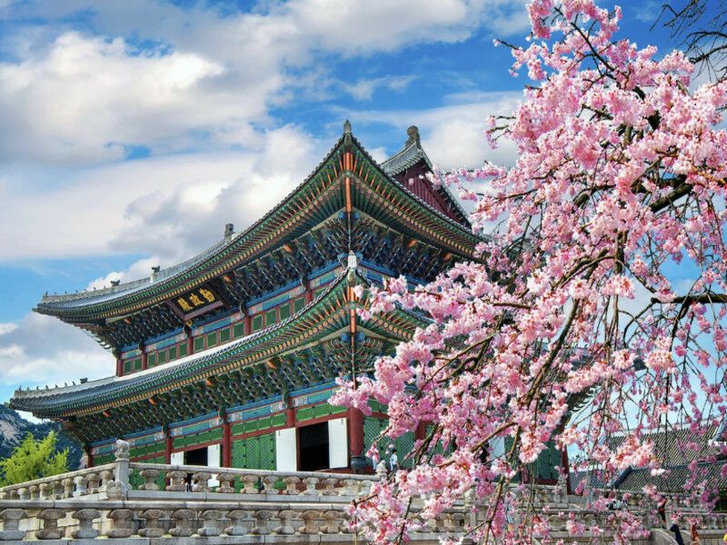 Circuit Trio Seoul, Tokyo et Kyoto - De Séoul A Osaka pas cher photo 3