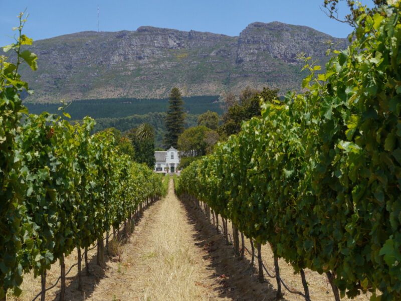 Circuit Le Cap et Garden route pas cher photo 5