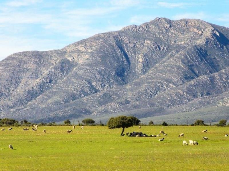 Circuit Le Cap et Garden route pas cher photo 8