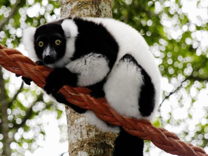 Circuit Le Cap et Garden route pas cher photo 11