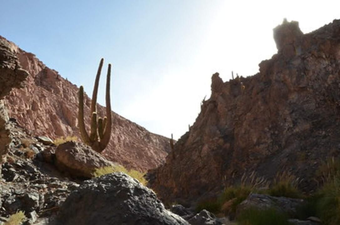Circuit Privatif Voyage au Coeur de l'Atacama 3* pas cher photo 9