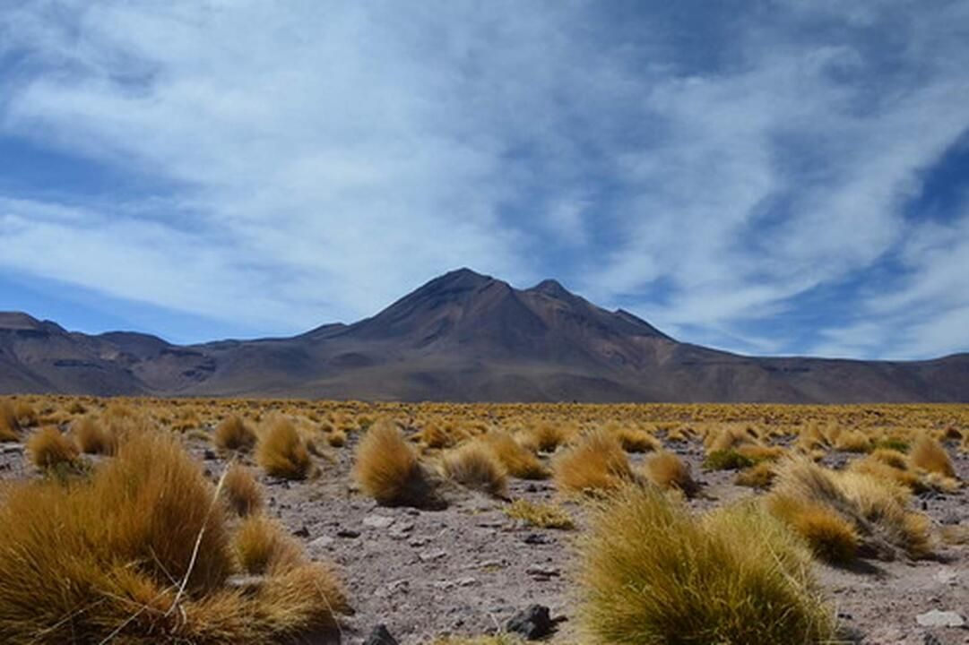Circuit Privatif Voyage au Coeur de l'Atacama 3* pas cher photo 15