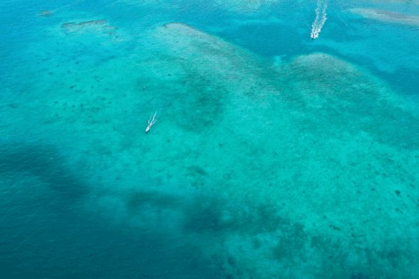 Circuit Viva Colombia et Isla Mucura ! 2*Nouveauté 2026 2* pas cher