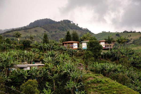 Circuit Viva Colombia et Parc Tayrona ! 2*Nouveauté 2026 2* pas cher photo 19