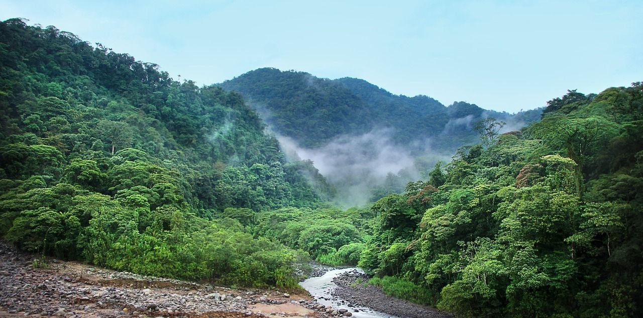 Circuit entre Jungles et Forêts du Costa Rica et Tortuguero 3* pas cher photo 24