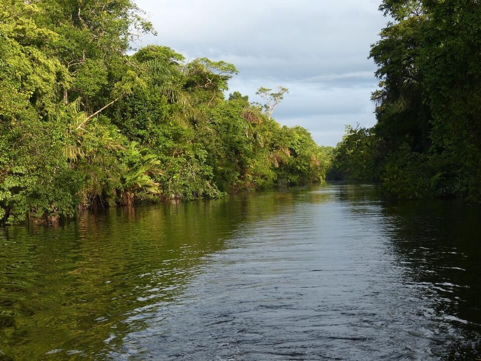 Circuit entre Jungles et Forêts du Costa Rica et Tortuguero 3* pas cher photo 28