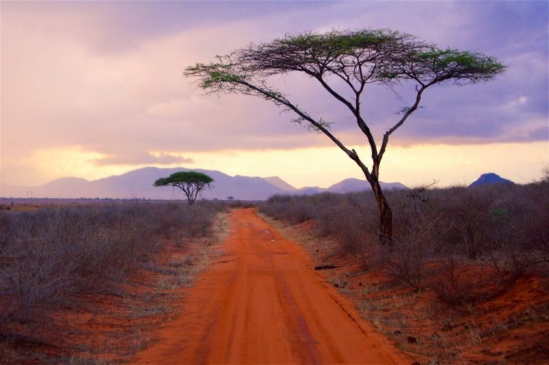 Safari Tsavo East, Amboseli et Séjour au Neptune Palm Beach Resort & Spa 4* nl pas cher photo 5