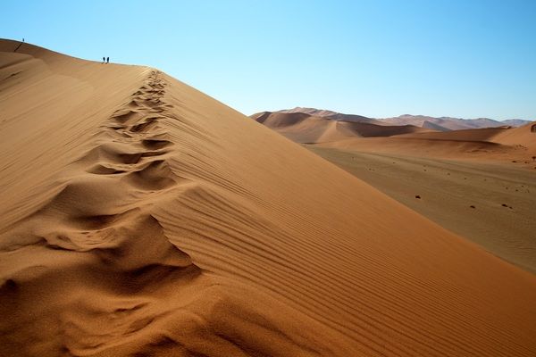 Circuit Du Royaume des Animaux aux Sables du Kalahari pas cher photo 13