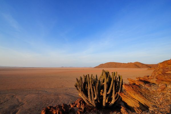 Circuit Namibie : Les plus vieux déserts du Monde pas cher photo 6