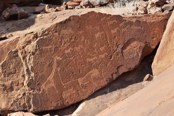 Circuit Namibie : Les plus vieux déserts du Monde pas cher photo 12