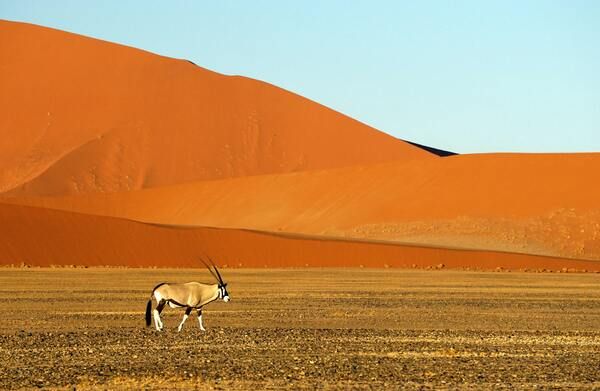 Circuit Namibie : Les plus vieux déserts du Monde pas cher photo 20