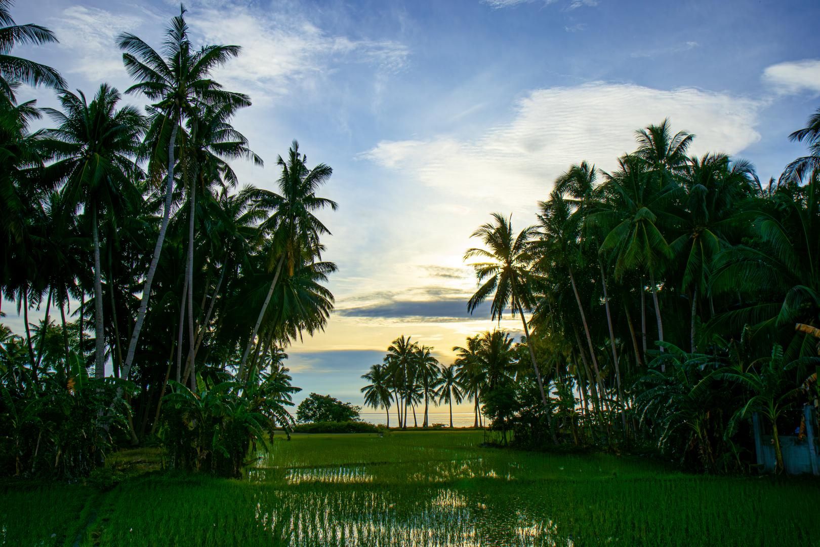 Séjour d'île en île au paradis Philippin - 17 jours / 14 nuits - Privatif pas cher photo 8