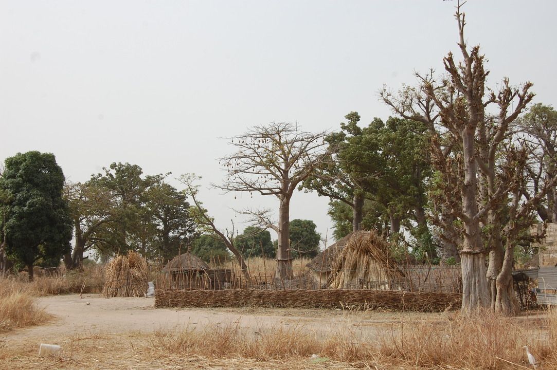 Circuit Privatif Evasion au Sénégal entre Culture et Plage 3*-4* pas cher photo 22