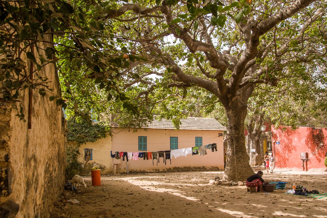 Circuit Privatif Evasion au Sénégal entre Culture et Plage 3*-4* pas cher photo 31