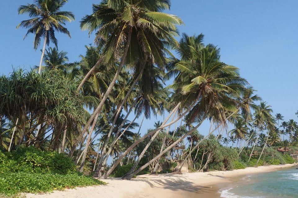 Circuit Privatif Evasion au Sri Lanka 3* pas cher photo 9