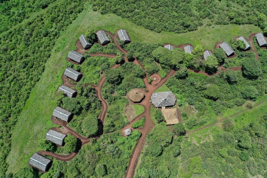 Safari Privatif En Terre Sauvage pas cher