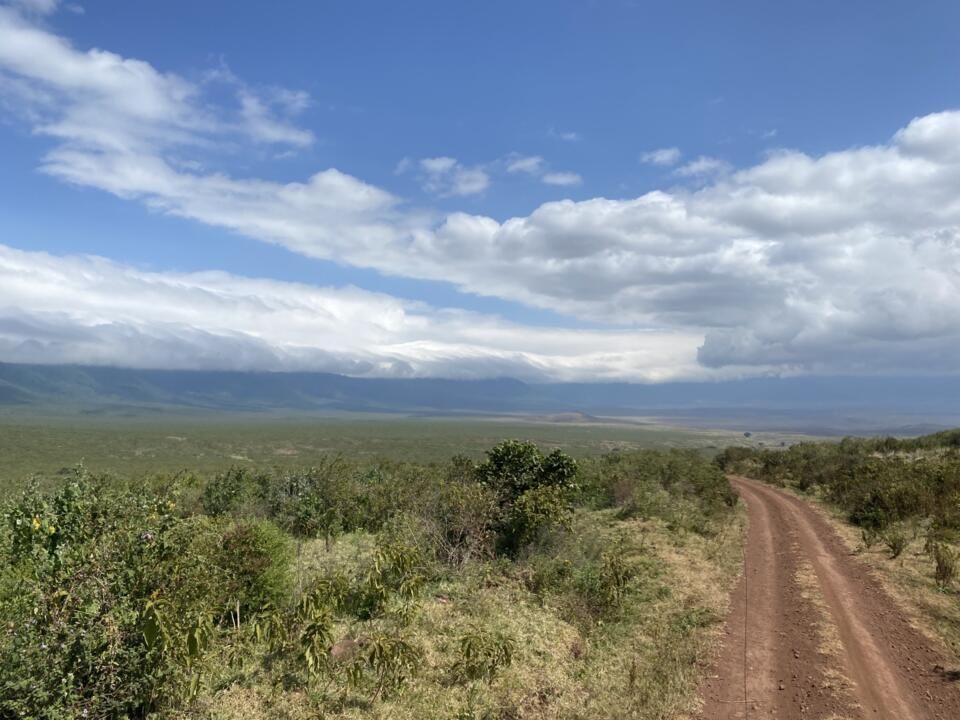 Safari Privatif En Terre Sauvage pas cher photo 9