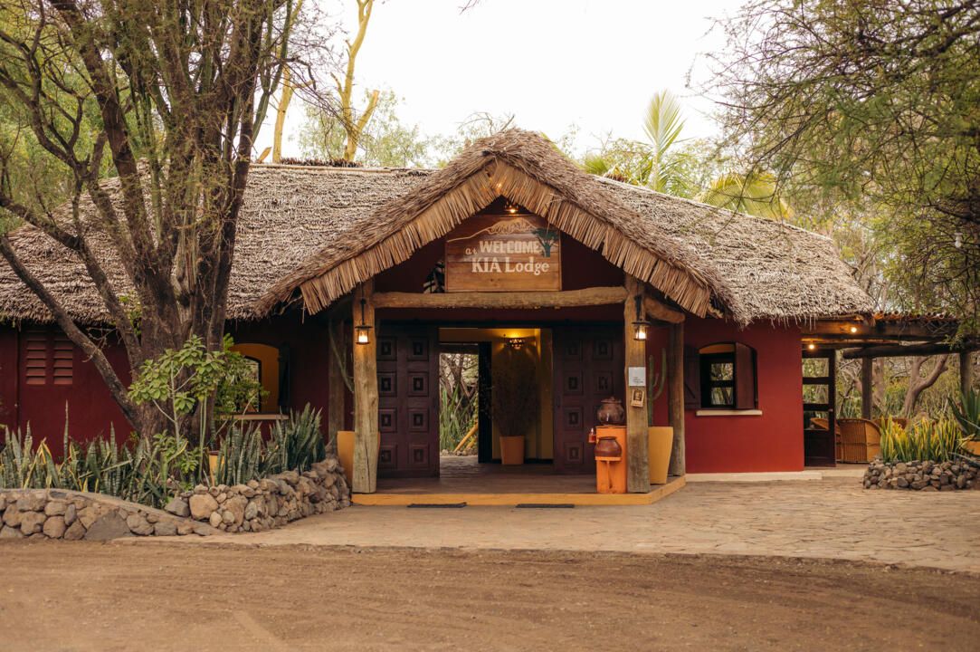 Safari Privatif En Terre Sauvage pas cher photo 17