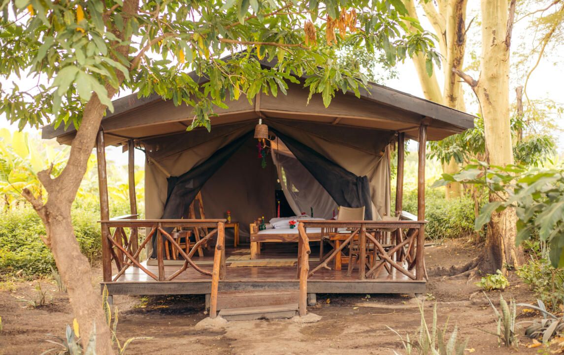Safari Privatif En Terre Sauvage pas cher photo 20