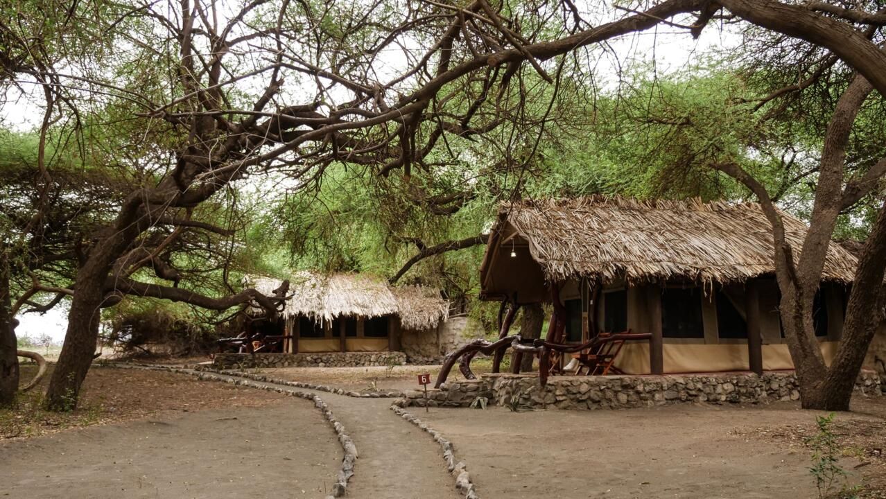 Safari Privatif En Terre Sauvage pas cher photo 30