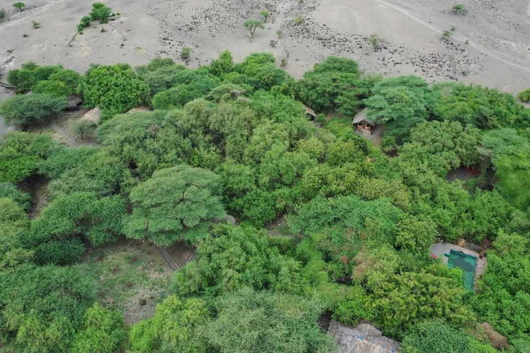 Safari Privatif En Terre Sauvage pas cher photo 31