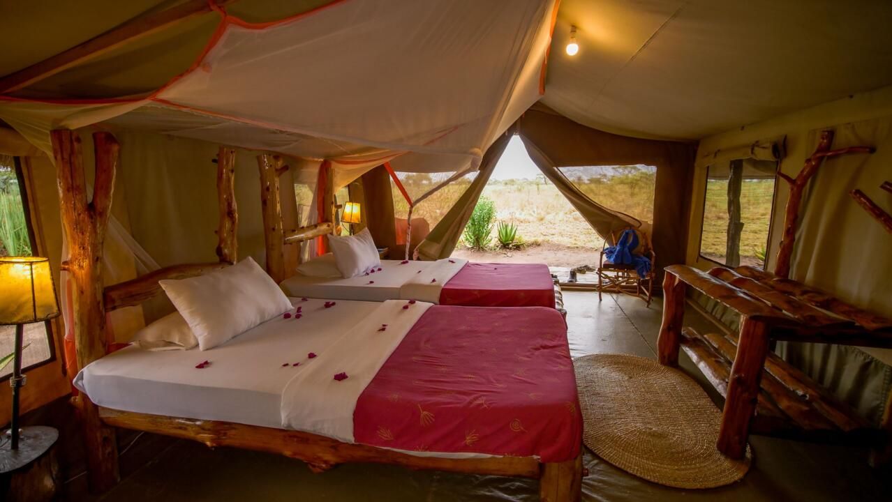 Safari Privatif En Terre Sauvage pas cher photo 35