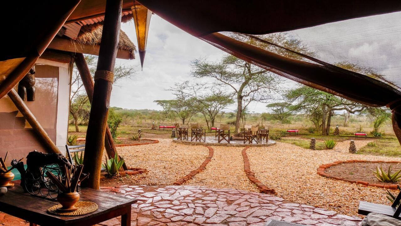 Safari Privatif En Terre Sauvage pas cher photo 36
