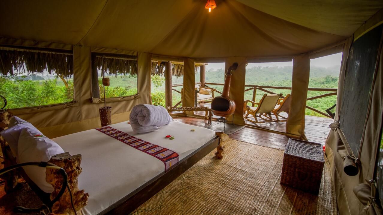 Safari Privatif En Terre Sauvage pas cher photo 38