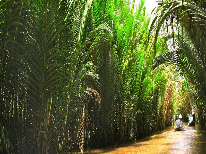 Circuit privé Vietnam essentiel 4* pas cher photo 1