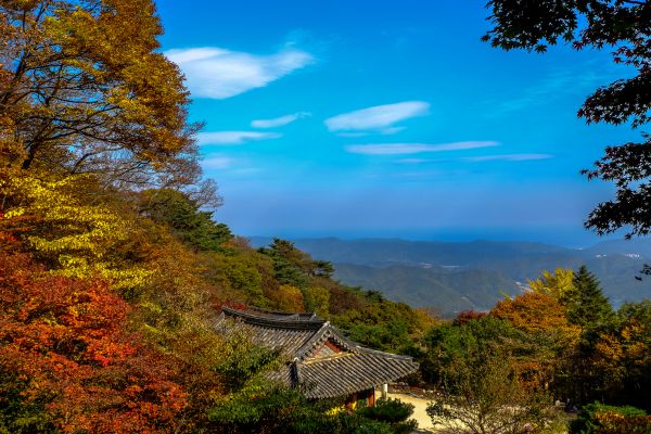 Circuit Du Japon à la Corée, Au Rythme des Traditions pas cher photo 31
