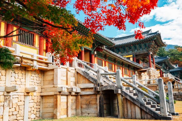 Circuit Du Japon à la Corée, Au Rythme des Traditions pas cher photo 35