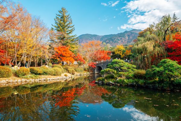 Circuit Du Japon à la Corée, Au Rythme des Traditions pas cher photo 32