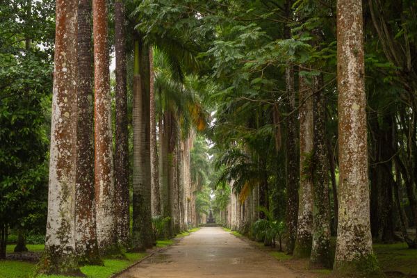 Circuit Aux Rythmes de la Bossa Nova : de Rio à Paraty pas cher photo 11