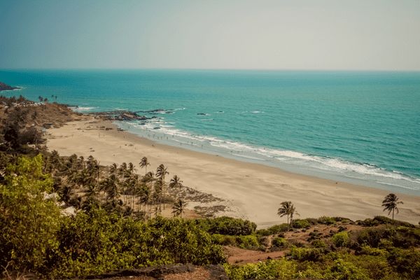Circuit Des Couleurs de l'Inde du Sud à Goa pas cher photo 22