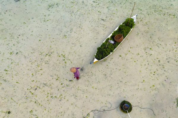 Combiné Des Rizières de l'île des Dieux aux eaux turquoise de Nusa Lembongan pas cher photo 9