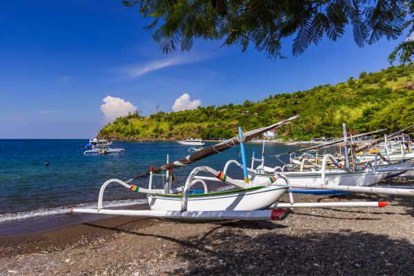 Combiné Jungle, Lombok et Sable de Bali pas cher photo 17