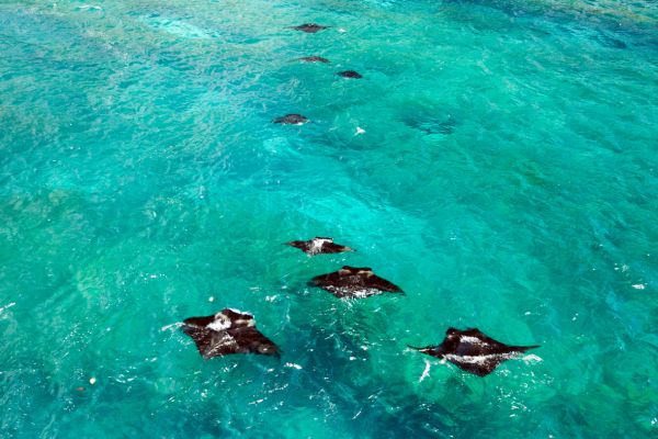 Combiné Des Rizières de l'île des Dieux aux eaux turquoise de Nusa Penida 4* pas cher