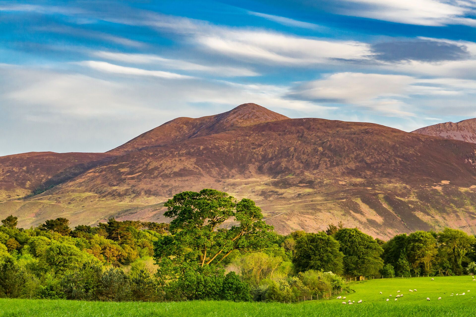 Autotour sur les routes sauvages d'Irlande pas cher photo 7