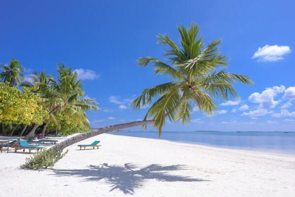 Circuit L'essentiel du Sri Lanka et plages des Maldives pas cher photo 3