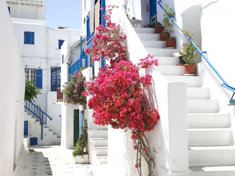 Circuit Mykonos Paros Santorin 3* - De Mykonos A Santorin pas cher photo 4